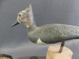a bird that is sitting on top of a piece of wood