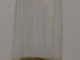 a glass clochet sitting on top of a wooden table