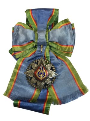 Gros plan sur une médaille entourée d'un ruban