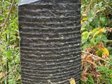 a tall black stone sitting in the middle of a forest