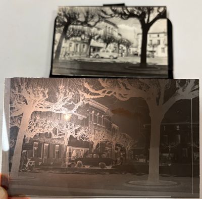 une personne tenant une photo d'un arbre devant un bâtiment