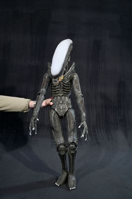 Quelqu'un montre du doigt un petit extraterrestre en peluche qui porte un chapeau