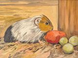 une peinture d'une guinée mangeant une pomme sur le sol