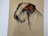 tableau représentant un chien au pelage marron et blanc sur la tête