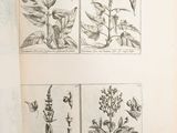 a picture of a book with pictures of plants on it