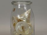 a glass jar with shells inside of it on a table