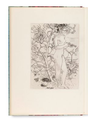 un livre ouvert sur lequel figure le dessin d'une femme debout devant un arbre