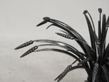 a black and white photo of a plant in a pot