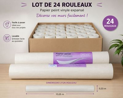 lot de 24 rouleaux de papier toilette en carton de 24 rouleaux