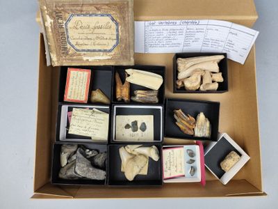 une boîte contenant divers objets sur une table