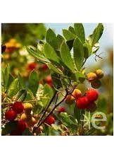 Destockage & Invendus