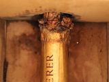 a bottle of champagne in a box with a cork sticking out of it