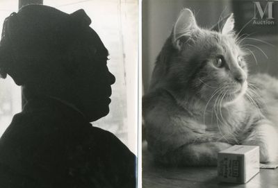 deux photos en noir et blanc représentant un chat et une femme