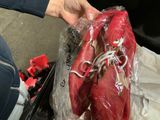 a person holding a red heart in a plastic bag