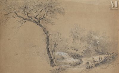 a drawing of a tree in the middle of a field