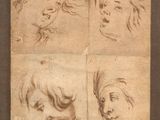 four studies of a child ' s head by person