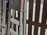 un mouton dans un enclos avec une clôture derrière lui